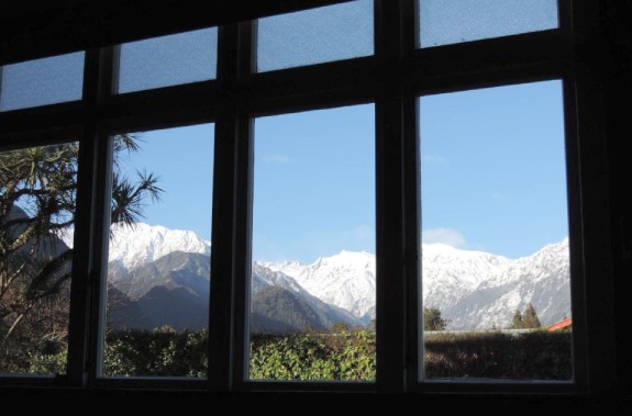 the view